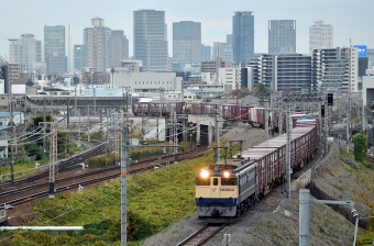 JR貨物 EF65形 EF65-2085 鉄道フォト・写真 by シーホース21さん 加島駅：2021年11月25日16時ごろ