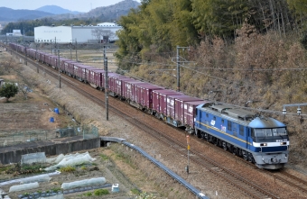 JR貨物 EF210形 EF210-303 鉄道フォト・写真 by シーホース21さん 相生駅 (兵庫県)：2022年02月25日12時ごろ