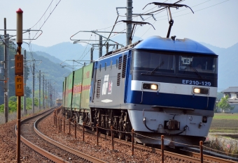 JR貨物 EF210形 EF210-129 鉄道フォト・写真 by シーホース21さん 相生駅 (兵庫県)：2017年05月14日08時ごろ