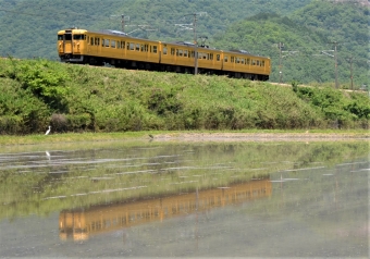 JR西日本 国鉄115系電車 鉄道フォト・写真 by シーホース21さん 上郡駅 (JR)：2016年05月21日11時ごろ