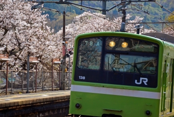 JR西日本 国鉄201系電車 鉄道フォト・写真 by シーホース21さん 河内堅上駅：2021年03月27日13時ごろ
