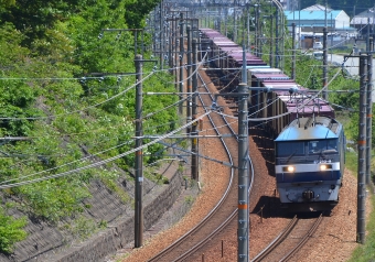 JR貨物 EF210形 EF210-8 鉄道フォト・写真 by シーホース21さん 相生駅 (兵庫県)：2023年05月09日11時ごろ