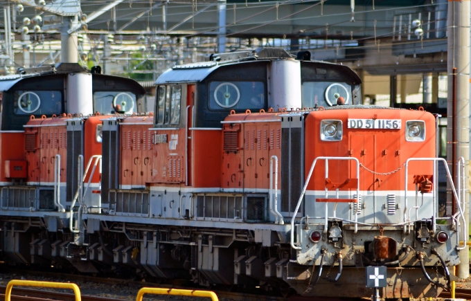 JR貨物 DD51形 DD51-1156 鉄道フォト・写真 by シーホース21さん 稲沢駅：2014年07月20日15時ごろ