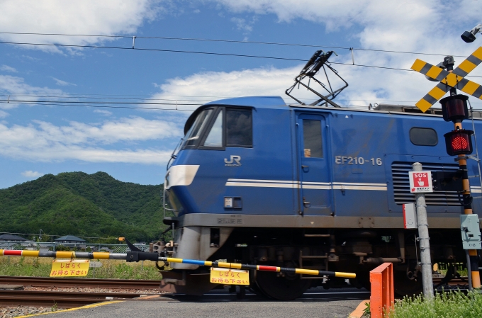 JR貨物 EF210形 EF210-16 鉄道フォト・写真 by シーホース21さん 上郡駅 (JR)：2023年05月31日13時ごろ