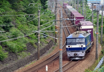 JR貨物 EF210形 EF210-346 鉄道フォト・写真 by シーホース21さん 相生駅 (兵庫県)：2023年05月31日09時ごろ