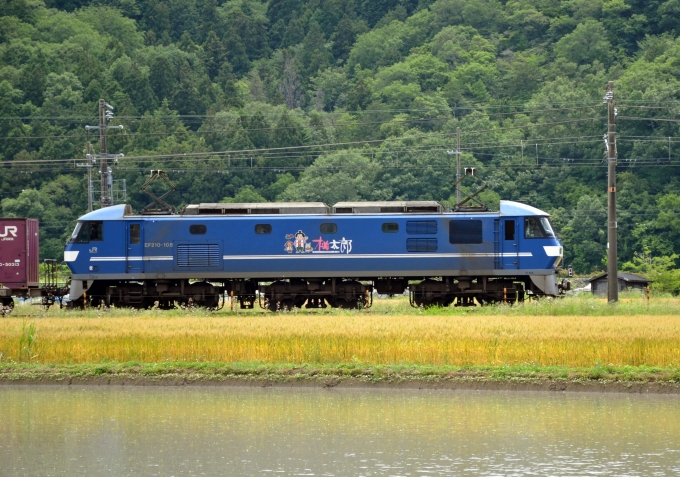 JR貨物 EF210形 EF210-108 鉄道フォト・写真 by シーホース21さん 上郡駅 (JR)：2023年05月31日13時ごろ