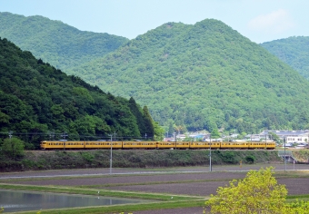 JR西日本 国鉄113系電車 鉄道フォト・写真 by シーホース21さん 上郡駅 (JR)：2017年05月14日09時ごろ