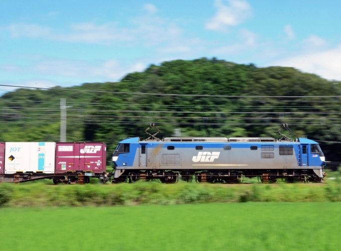 JR貨物 EF210形 EF210-5 鉄道フォト・写真 by シーホース21さん 上郡駅 (JR)：2015年08月22日13時ごろ