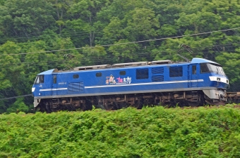 JR貨物 EF210形 EF210-6 鉄道フォト・写真 by シーホース21さん 上郡駅 (JR)：2021年06月12日12時ごろ