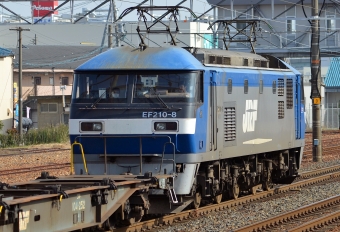 JR貨物 EF210形 EF210-8 鉄道フォト・写真 by シーホース21さん 清洲駅：2013年03月23日14時ごろ