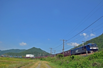 JR貨物 EF210形 EF210-10 鉄道フォト・写真 by シーホース21さん 上郡駅 (JR)：2016年05月21日10時ごろ