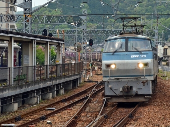 JR貨物 EF66形 EF66-123 鉄道フォト・写真 by シーホース21さん 上郡駅 (JR)：2016年04月24日11時ごろ