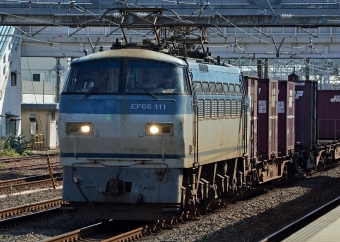 JR貨物 EF66形 EF66-111 鉄道フォト・写真 by シーホース21さん 清洲駅：2013年10月27日12時ごろ