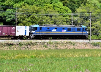 JR貨物 EF210形 EF210-305 鉄道フォト・写真 by シーホース21さん 上郡駅 (JR)：2021年04月24日12時ごろ