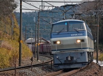 JR貨物 EF66形 EF66-133 鉄道フォト・写真 by シーホース21さん 柏原駅 (滋賀県)：2016年01月23日11時ごろ