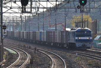 JR貨物 EF210形 EF210-308 鉄道フォト・写真 by シーホース21さん 島本駅：2021年12月23日14時ごろ