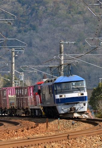 JR貨物 EF210形 EF210-102 鉄道フォト・写真 by シーホース21さん 上郡駅 (JR)：2022年02月25日14時ごろ