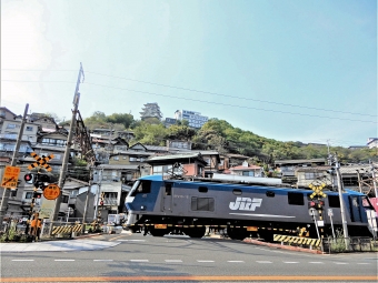 JR貨物 EF210形 EF210-16 鉄道フォト・写真 by シーホース21さん 尾道駅：2019年04月21日15時ごろ