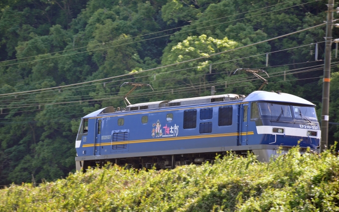 JR貨物 EF210形 EF210-337 鉄道フォト・写真 by シーホース21さん 上郡駅 (JR)：2023年05月09日15時ごろ