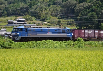 JR貨物 EF210形 EF210-109 鉄道フォト・写真 by シーホース21さん 有年駅：2020年08月29日12時ごろ