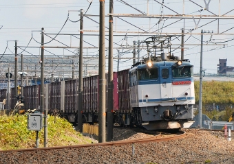 JR貨物 国鉄EF65形電気機関車 EF65-2084 鉄道フォト・写真 by シーホース21さん 大垣駅 (JR)：2017年11月11日11時ごろ