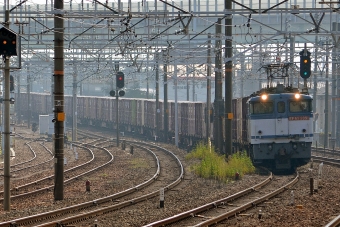 JR貨物 国鉄EF65形電気機関車 EF65-2091 鉄道フォト・写真 by シーホース21さん 清洲駅：2015年10月24日11時ごろ