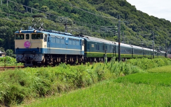JR西日本 国鉄EF65形電気機関車 特別なトワイライトエクスプレス EF65-1135 鉄道フォト・写真 by シーホース21さん 有年駅：2015年08月22日13時ごろ