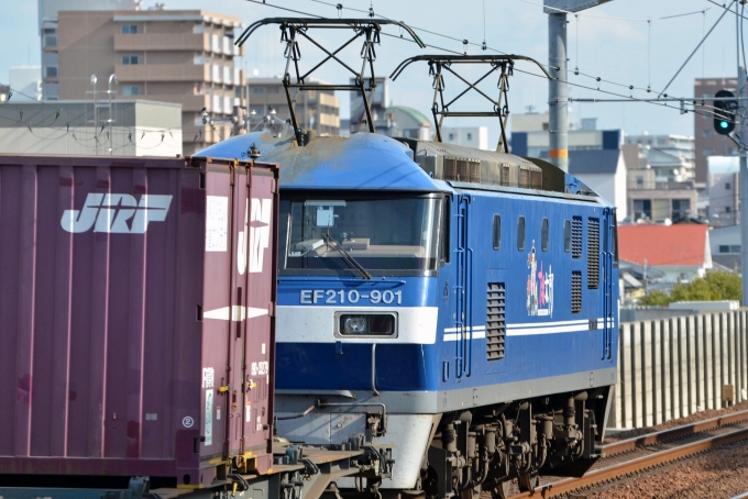 JR貨物 EF210形 EF210-901 鉄道フォト・写真 by シーホース21さん さくら夙川駅：2023年12月20日12時ごろ