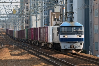 JR貨物 EF210形 EF210-8 鉄道フォト・写真 by シーホース21さん さくら夙川駅：2023年12月20日12時ごろ