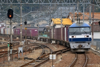JR貨物 EF210形 EF210-315 鉄道フォト・写真 by シーホース21さん 上郡駅 (JR)：2024年02月15日12時ごろ