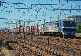 EF210-116 鉄道フォト・写真