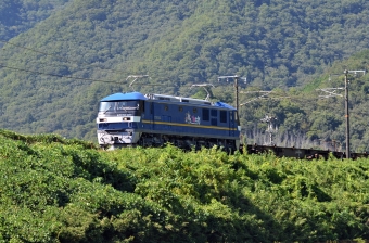 JR貨物EF210形電気機関車 EF210-321 鉄道フォト・写真 by シーホース21さん 上郡駅 (JR)：2020年08月29日15時ごろ