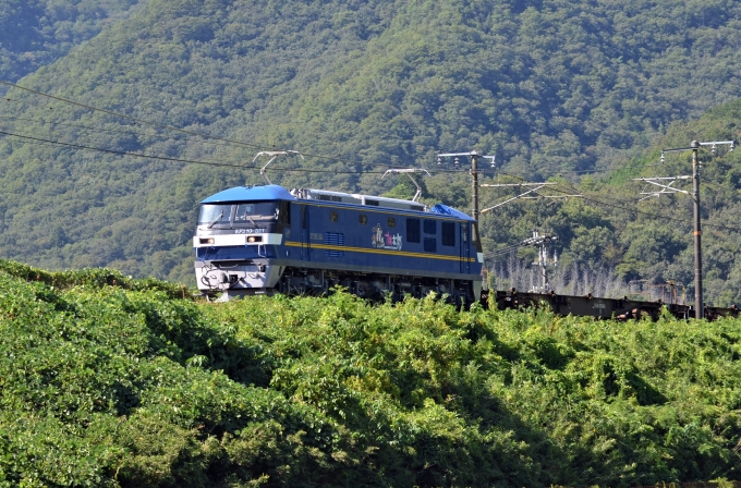 鉄道フォト・写真：JR貨物EF210形電気機関車 EF210-321 上郡駅 (JR) 鉄道フォト・写真 by シーホース21さん - 撮影日 2020/08/29 15:01