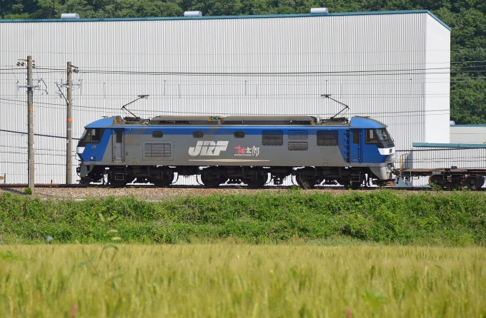 鉄道フォト・写真：JR貨物EF210形電気機関車 EF210-167 上郡駅 (JR) 鉄道フォト・写真 by シーホース21さん - 撮影日 2016/05/21 09:36