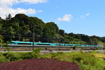 JR西日本283系電車 オーシャンアロー 鉄道フォト・写真 by シーホース21さん 稲原駅：2014年09月14日12時ごろ