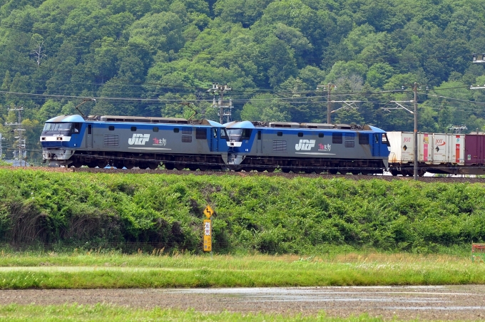 鉄道フォト・写真：JR貨物EF210形電気機関車 EF210-169 上郡駅 (JR) 鉄道フォト・写真 by シーホース21さん - 撮影日 2020/05/30 13:18