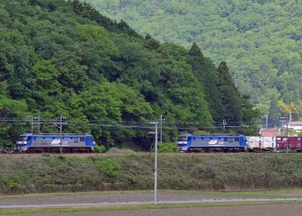 JR貨物 EF210形 鉄道フォト・写真 by シーホース21さん 上郡駅 (JR)：2017年05月14日09時ごろ