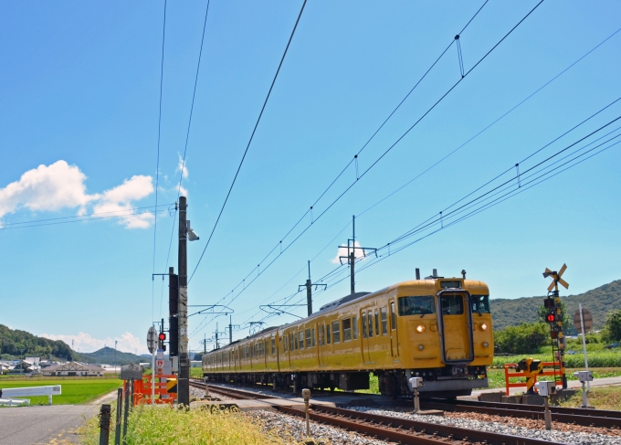 鉄道フォト・写真：JR西日本 国鉄115系電車 上郡駅 (JR) 鉄道フォト・写真 by シーホース21さん - 撮影日 2020/08/29 11:14