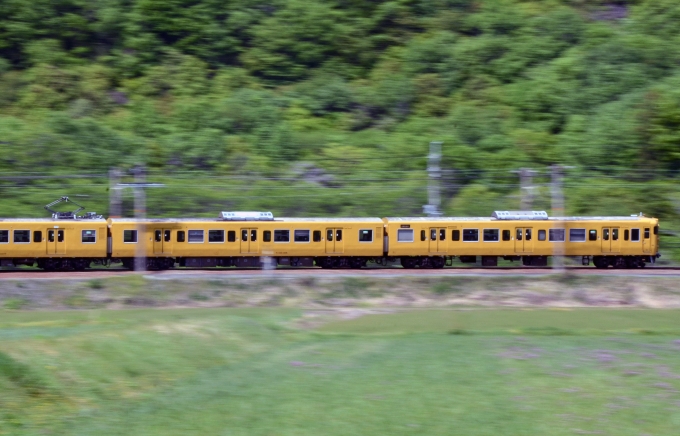 鉄道フォト・写真：JR西日本 国鉄115系電車 上郡駅 (JR) 鉄道フォト・写真 by シーホース21さん - 撮影日 2021/04/24 13:52