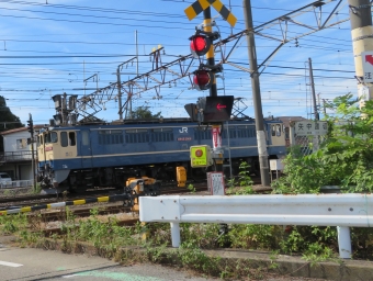 JR東日本 国鉄EF65形電気機関車 鉄道フォト・写真 by redarrowさん 倉賀野駅：2022年10月11日10時ごろ