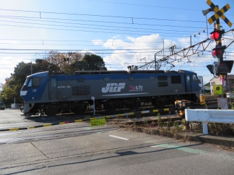 JR貨物 EF210形 EF210-169 鉄道フォト・写真 by redarrowさん 倉賀野駅：2022年11月22日11時ごろ