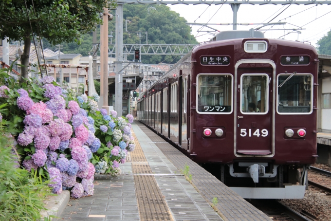 鉄道フォト・写真：能勢電鉄5100系電車 5149 鶯の森駅 鉄道フォト・写真 by たごさくさん - 撮影日 2024/06/27 11:19