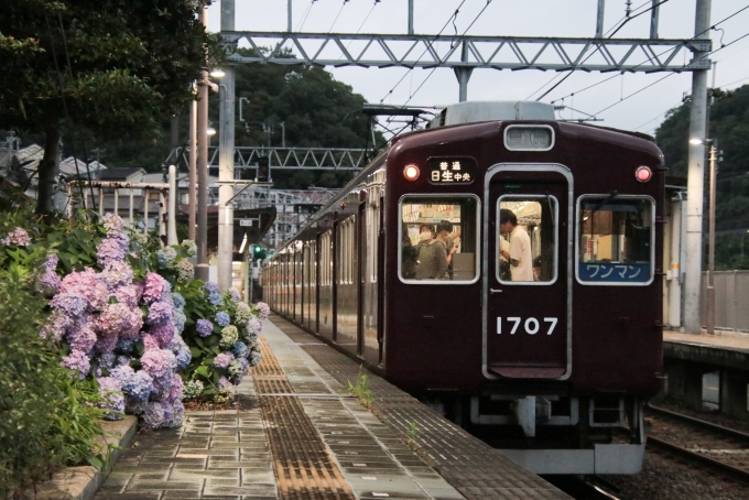 鉄道フォト・写真：能勢電鉄1700系電車 1707 鶯の森駅 鉄道フォト・写真 by たごさくさん - 撮影日 2024/07/01 18:37