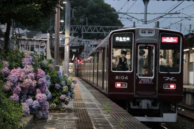 鉄道フォト・写真：阪急電鉄 阪急8000系電車 日生エクスプレス 8104 鶯の森駅 鉄道フォト・写真 by たごさくさん - 撮影日 2024/07/01 18:45