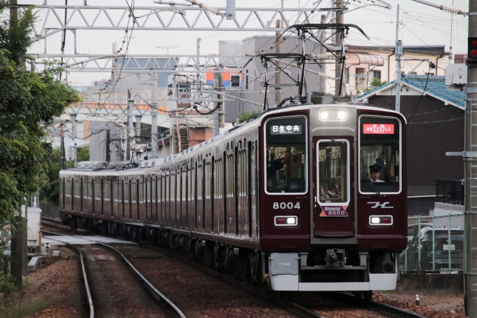 鉄道フォト・写真：阪急電鉄 阪急8000系電車 日生エクスプレス 8004 滝山駅 鉄道フォト・写真 by たごさくさん - 撮影日 2024/07/08 18:44