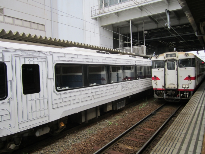 JR東日本 キハ40 554 (キハ40系) 車両ガイド | レイルラボ(RailLab)