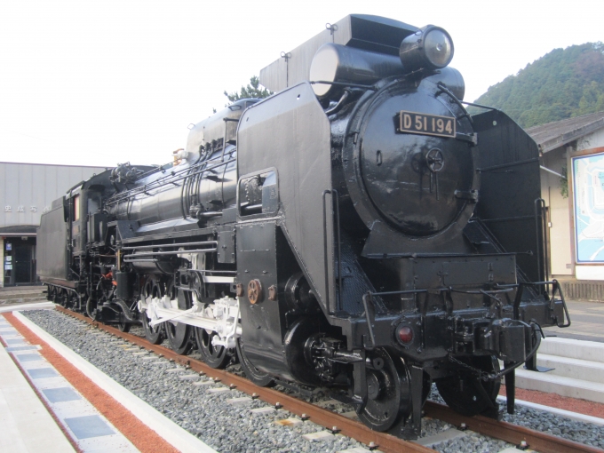 JR西日本 D51形蒸気機関車 D51 194 鉄道フォト・写真 by 城鉄本線☆日本旅さん 津和野駅：2019年11月01日07時ごろ