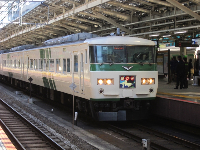 鉄道フォト・写真：JR東日本 国鉄185系電車 踊り子 クハ185-214 東京駅 (JR) 鉄道フォト・写真 by 城鉄本線☆日本旅さん - 撮影日 2021/03/10 10:27