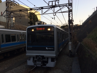 小田急電鉄 小田急クハ3050形 3259 鉄道フォト・写真 by 城鉄本線☆日本旅さん 善行駅：2023年03月11日17時ごろ