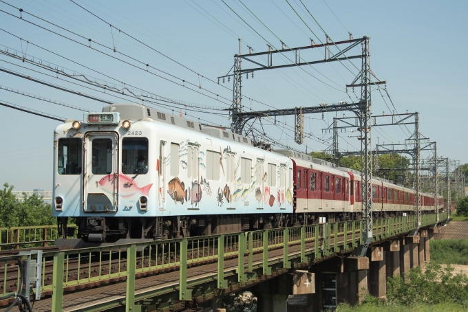 鉄道フォト・写真：近畿日本鉄道 2423　お魚図鑑　 河内国分駅 鉄道フォト・写真 by ポチとらさん - 撮影日 2021/05/10 09:09